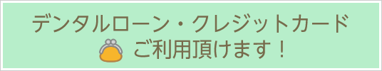 いとうデンタルクリニックではお支払いにレジットカード・デンタルローンがご利用いただけます。